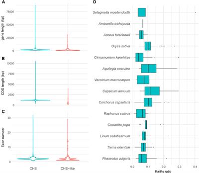 Exploring the evolution of CHS gene family in plants